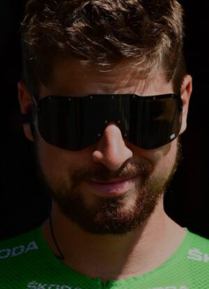 sagan portrait